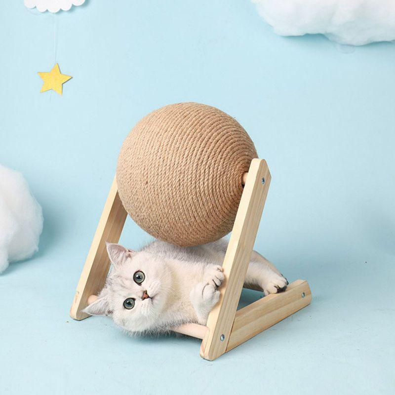 Kitten Toy